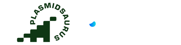 Untitled design (10)